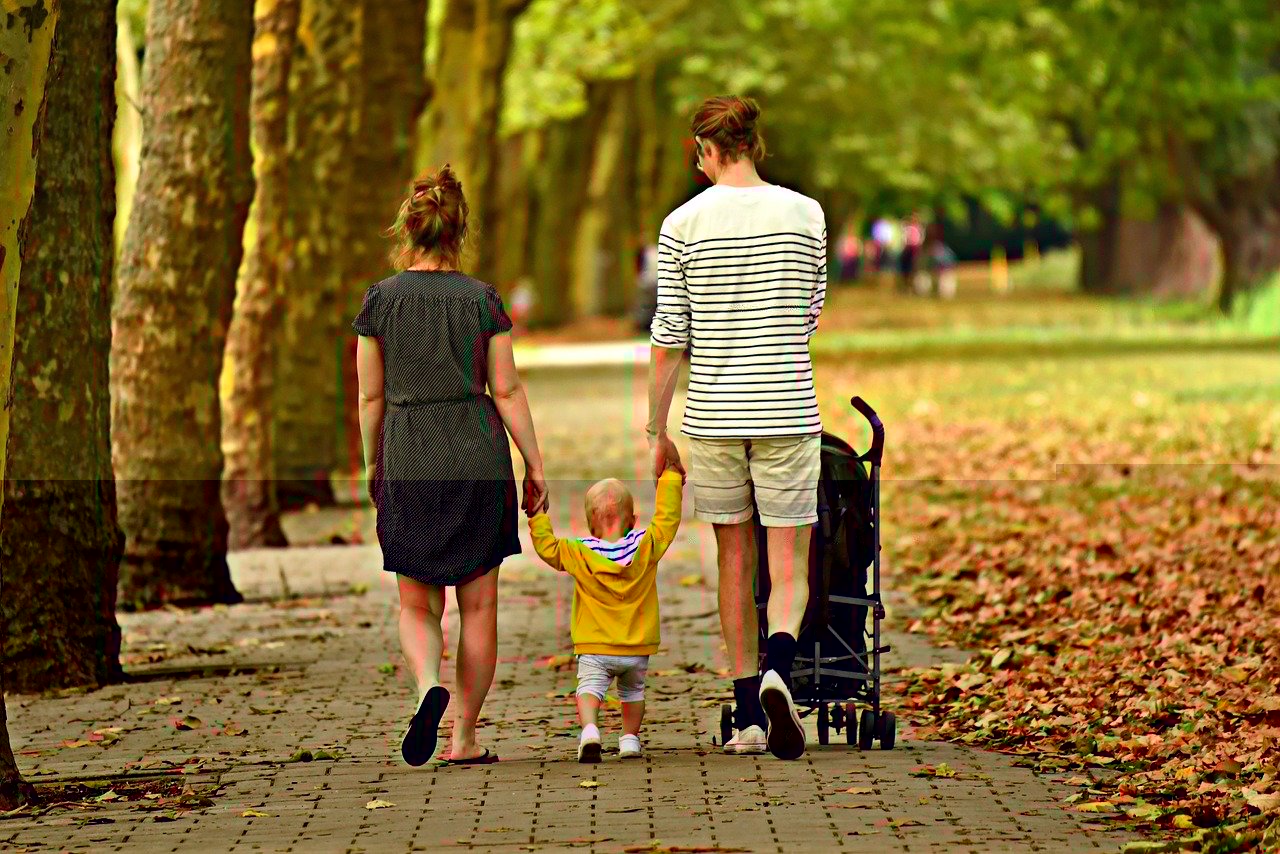 Hanehalkının Büyüklüğü ve Yapısal Özellikleri 