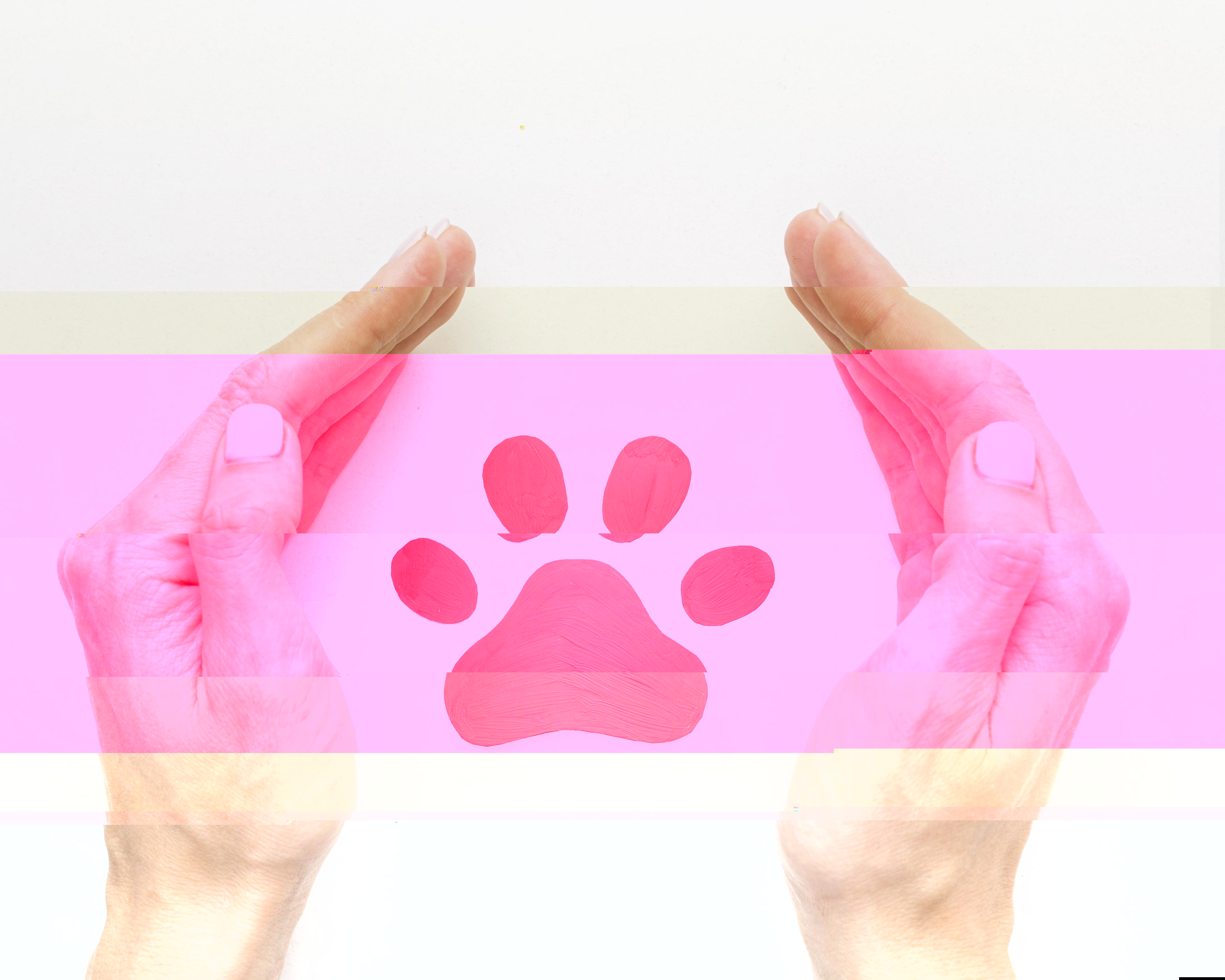 Hayvan Hakları İhlali